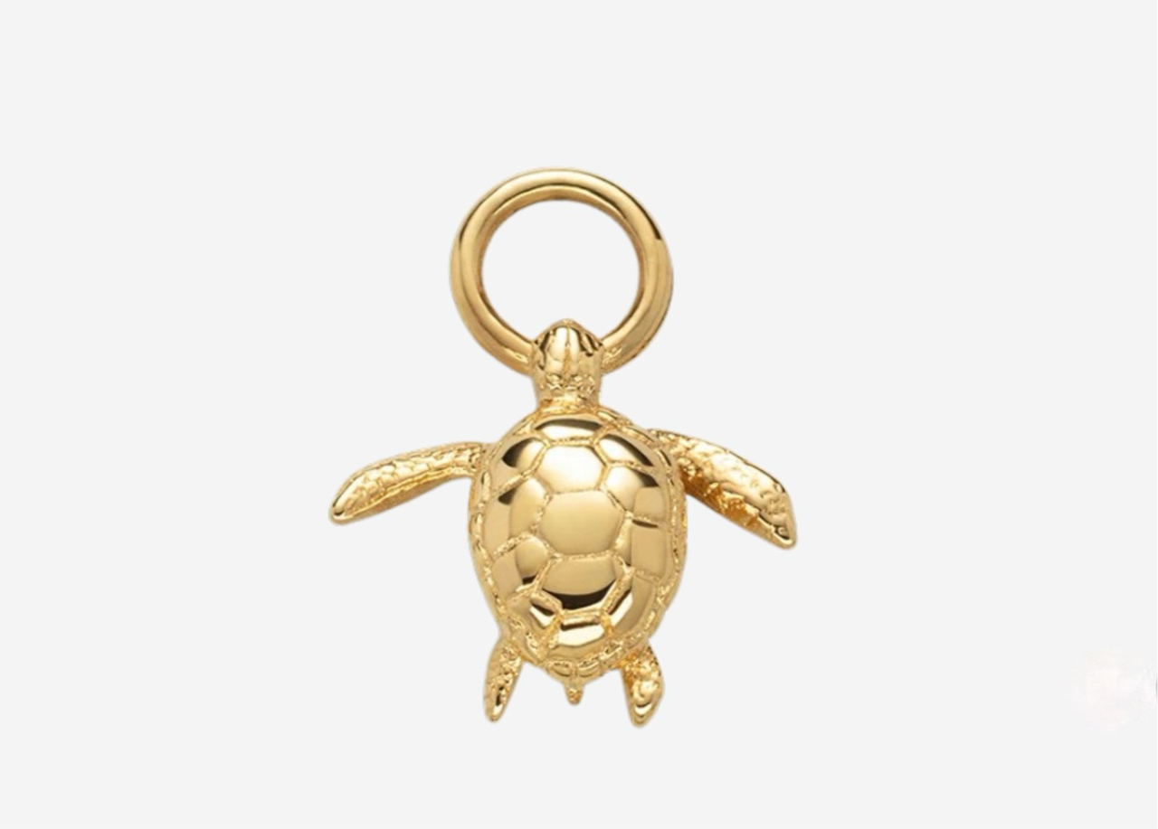 Chelonia Charm