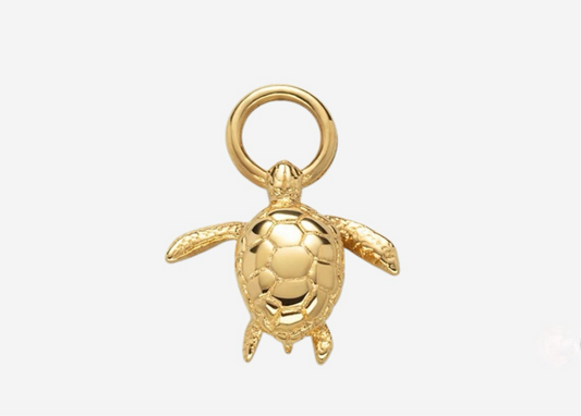 Chelonia Charm