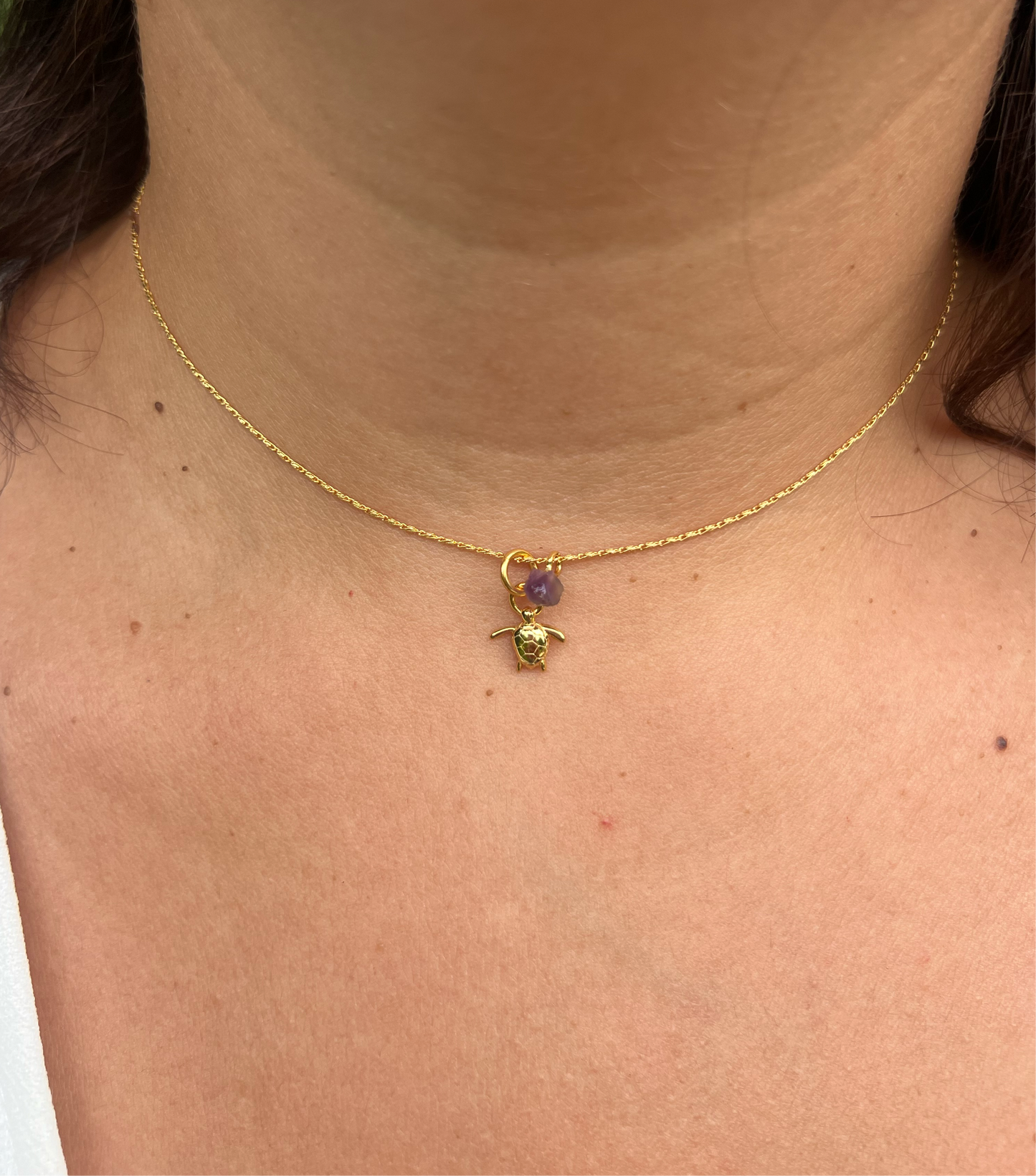 Chelonia Charm